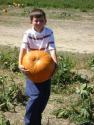 Pumpkin Patch Trip