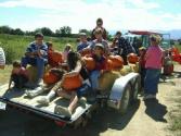 Pumpkin Patch Trip